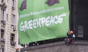 Revelan casos de acoso sexual en Greenpeace Andino